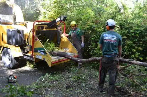 tree services Rensselaer